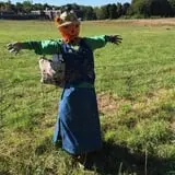 Strong Family Farm Harvest Festival photo