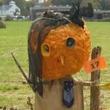 Strong Family Farm Harvest Festival photo
