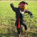 Strong Family Farm Harvest Festival photo