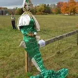 Strong Family Farm Harvest Festival photo