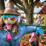 Strong Family Farm Harvest Festival photo