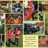 Strong Family Farm Harvest Festival photo