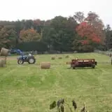 Strong Family Farm Harvest Festival photo