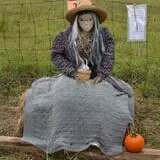 Strong Family Farm Harvest Festival photo