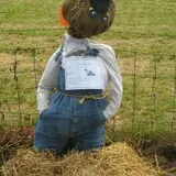 Strong Family Farm Harvest Festival photo