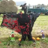 Strong Family Farm Harvest Festival photo