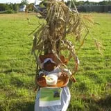 Strong Family Farm Harvest Festival photo