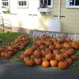 Strong Family Farm Harvest Festival photo