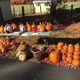 Strong Family Farm Harvest Festival photo