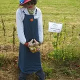 Strong Family Farm Harvest Festival photo