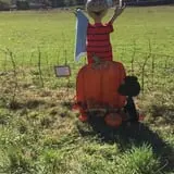 Strong Family Farm Harvest Festival photo