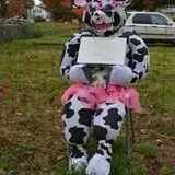 Strong Family Farm Harvest Festival photo