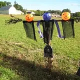 Strong Family Farm Harvest Festival photo