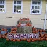 Strong Family Farm Harvest Festival photo
