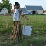 Strong Family Farm Harvest Festival photo