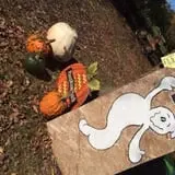 Allen's Orchard photo