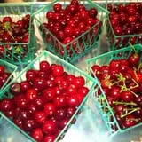 Allen's Orchard photo