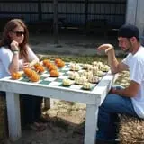Clinton Sease Farm Corn Maze & Pumpkin Patch photo