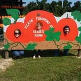 Clinton Sease Farm Corn Maze & Pumpkin Patch photo
