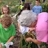 Clinton Sease Farm Corn Maze & Pumpkin Patch photo