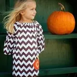 Clinton Sease Farm Corn Maze & Pumpkin Patch photo
