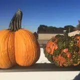 Pettingill Fruit Farm photo