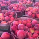 Pettingill Fruit Farm photo