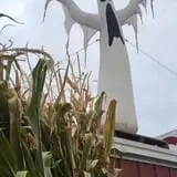 Pettingill Fruit Farm photo