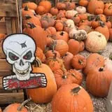 Pettingill Fruit Farm photo
