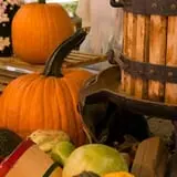 Pettingill Fruit Farm photo