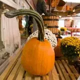 Pettingill Fruit Farm photo