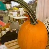 Pettingill Fruit Farm photo