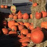 Pettingill Fruit Farm photo
