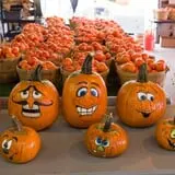 Pettingill Fruit Farm photo