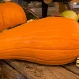 Pettingill Fruit Farm photo