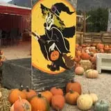 Pettingill Fruit Farm photo