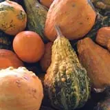 Pettingill Fruit Farm photo