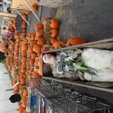 Pettingill Fruit Farm photo