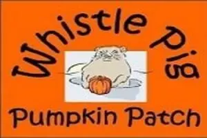 Whistle Pig Pumpkin Patch