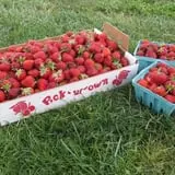 Big M Berry Patch photo