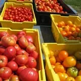 Big M Berry Patch photo