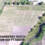 Big M Berry Patch photo