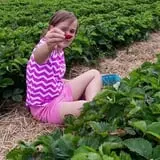 Big M Berry Patch photo