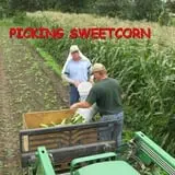 Big M Berry Patch photo