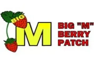 Big M Berry Patch