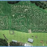 CM Farms Corn Maze photo