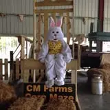CM Farms Corn Maze photo