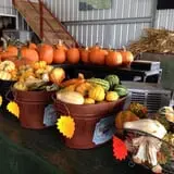 CM Farms Corn Maze photo