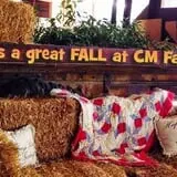 CM Farms Corn Maze photo