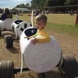 CM Farms Corn Maze photo